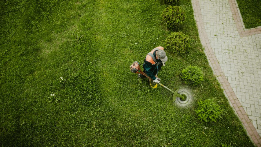 An image of Lawn Care in Fountain Valley, CA