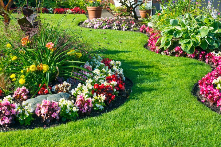 An image of Garden Design and Installation in Fountain Valley, CA
