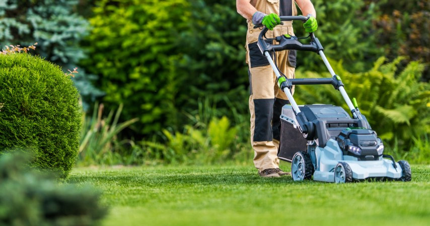 An image of Lawn Care in Fountain Valley, CA